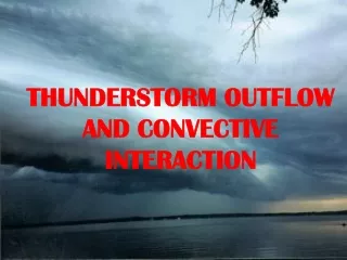 THUNDERSTORM OUTFLOW AND CONVECTIVE INTERACTION