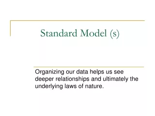 Standard Model (s)
