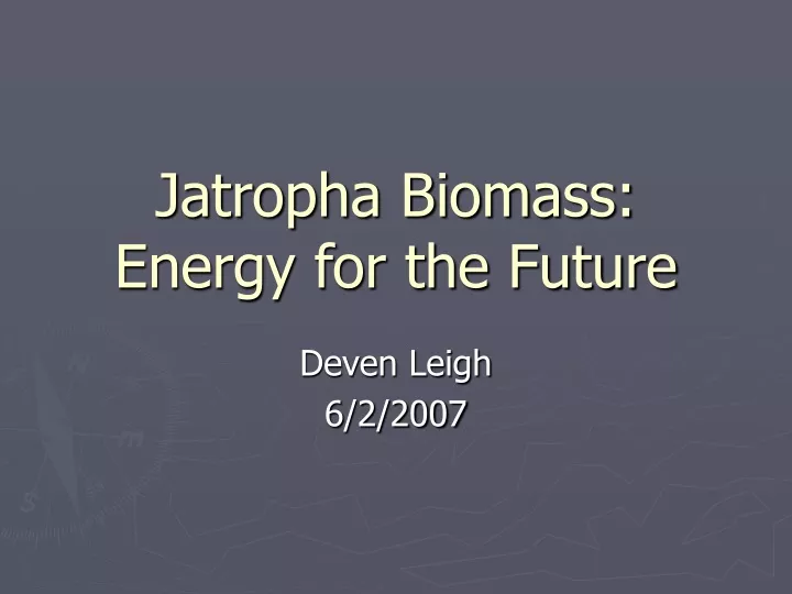 jatropha biomass energy for the future