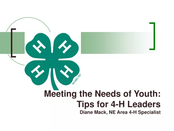 meeting the needs of youth tips for 4 h leaders diane mack ne area 4 h specialist