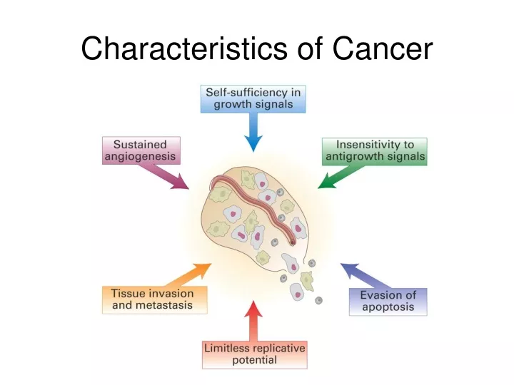 characteristics of cancer
