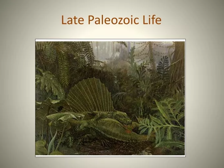 late paleozoic life