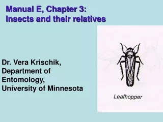 Manual E, Chapter 3: Insects and their relatives