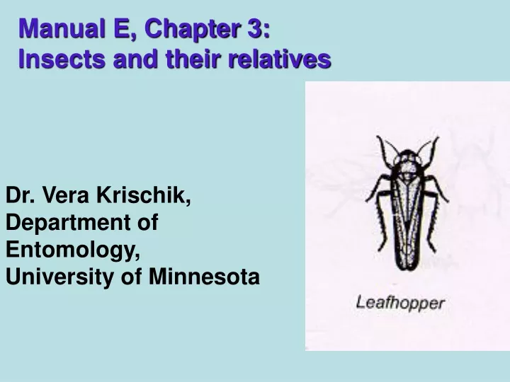 manual e chapter 3 insects and their relatives
