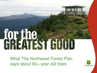 What The Northwest Forest Plan says about 80+ year old trees