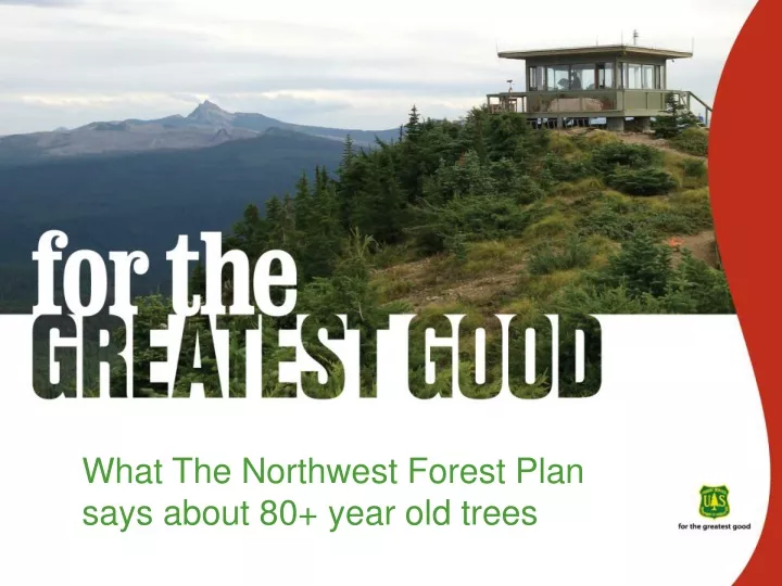 what the northwest forest plan says about 80 year