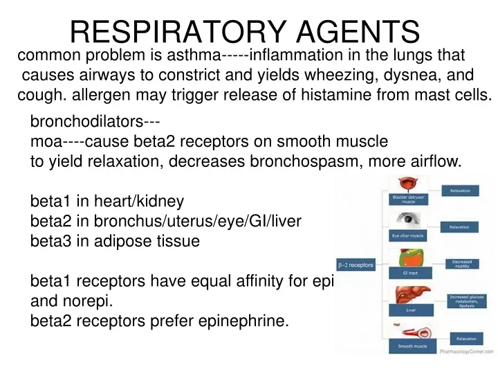 respiratory agents