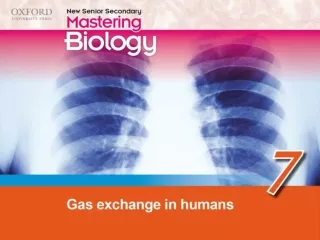 Think about… 7.1 The human breathing system 7.2 Gas exchange in the air sacs