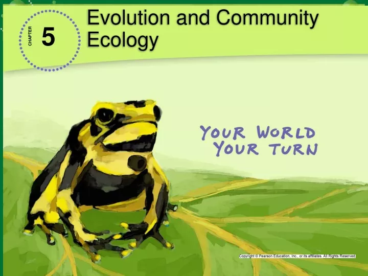 evolution and community ecology