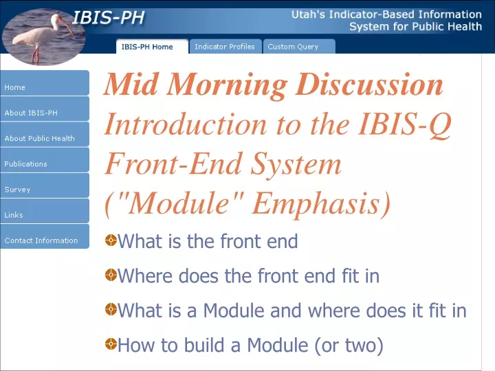mid morning discussion introduction to the ibis q front end system module emphasis