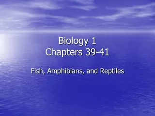 Biology 1 Chapters 39-41