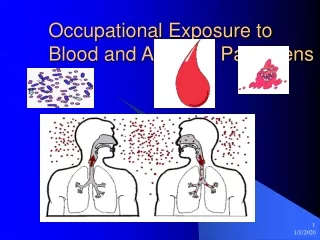 Occupational Exposure to Blood and Airborne Pathogens