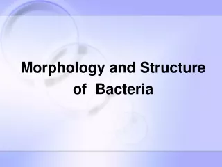 Morphology and Structure  of  Bacteria
