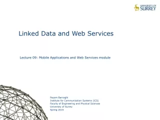 Linked Data and Web Services