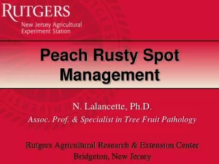 Peach Rusty Spot Management
