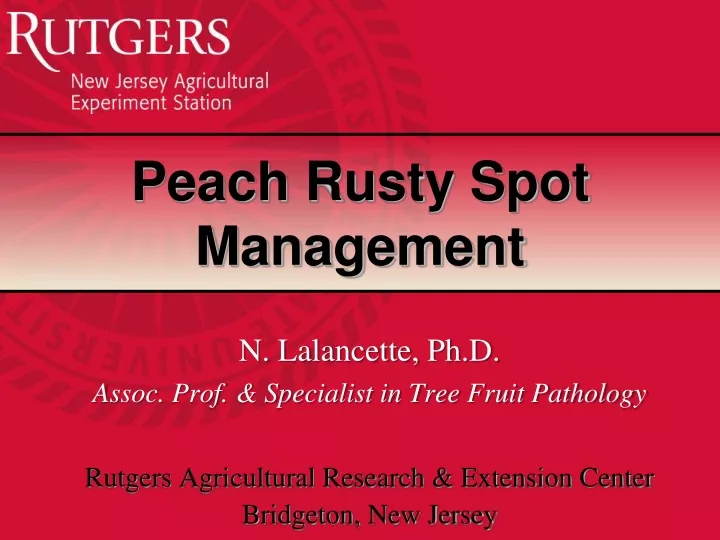 peach rusty spot management