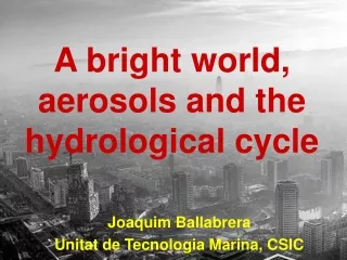 A bright world, aerosols and the hydrological cycle