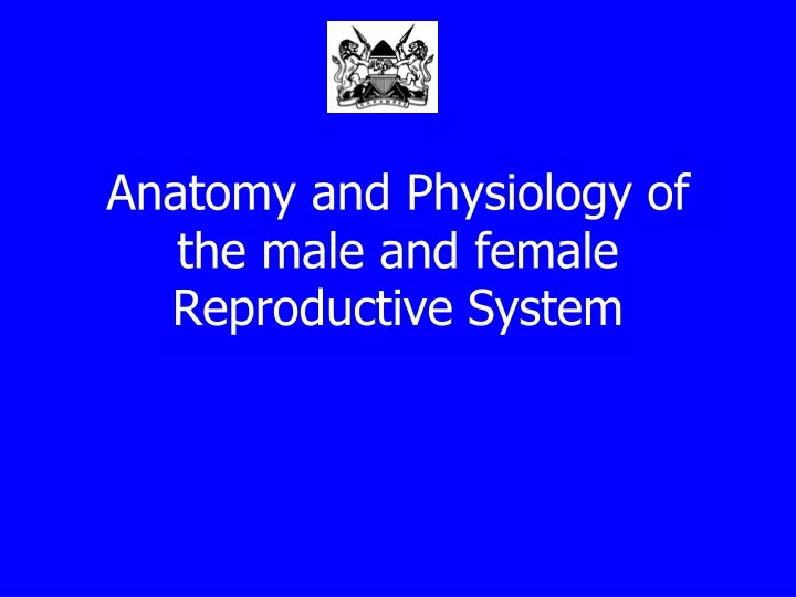 anatomy and physiology of the male and female reproductive system