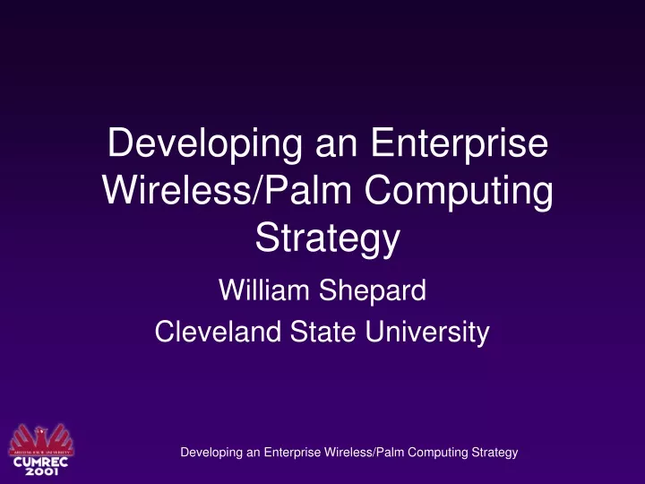 developing an enterprise wireless palm computing strategy