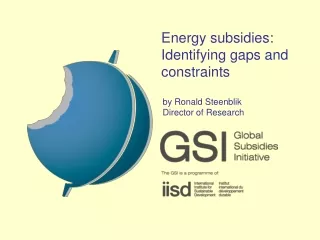 Energy subsidies: Identifying gaps and constraints