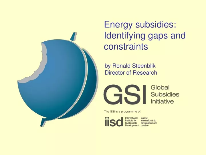 energy subsidies identifying gaps and constraints