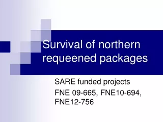Survival of northern requeened packages