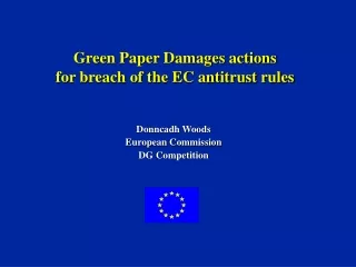 Green Paper Damages actions for breach of the EC antitrust rules
