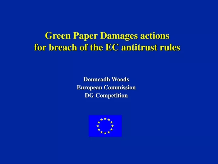green paper damages actions for breach of the ec antitrust rules
