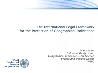 The International Legal Framework  for the Protection of Geographical Indications