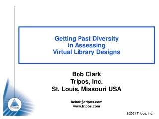 Getting Past Diversity in Assessing  Virtual Library Designs