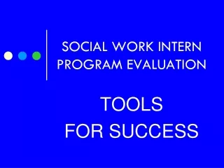 SOCIAL WORK INTERN PROGRAM EVALUATION