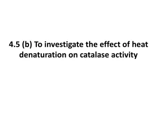 4.5 (b) To investigate the effect of heat denaturation on catalase activity