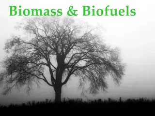 Biomass &amp; Biofuels