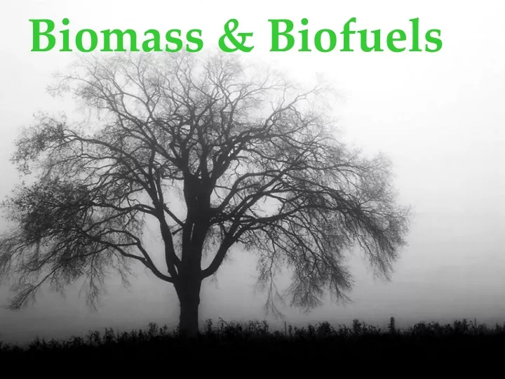 biomass biofuels