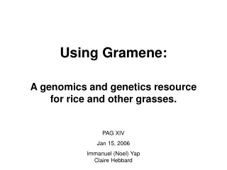 Using Gramene: