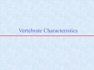 Vertebrate Characteristics