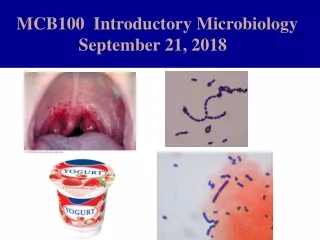 MCB100  Introductory Microbiology                  September 21, 2018