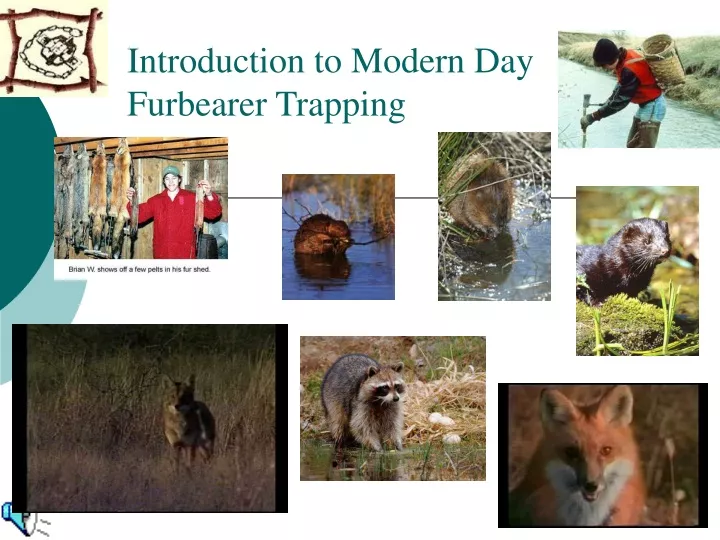introduction to modern day furbearer trapping