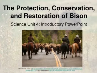 The Protection, Conservation, and Restoration of Bison Science Unit 4: Introductory PowerPoint