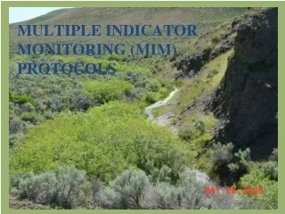 Multiple Indicator Monitoring (MIM) Protocols