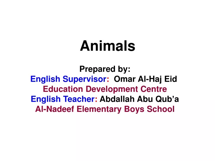 animals