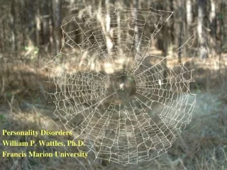 Personality Disorders  William P. Wattles, Ph.D. Francis Marion University
