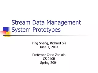 Stream Data Management System Prototypes