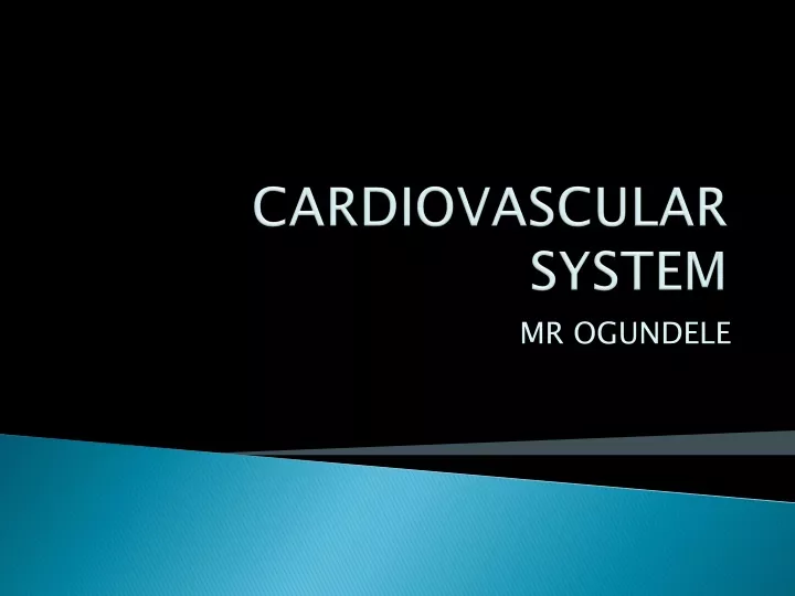 cardiovascular system