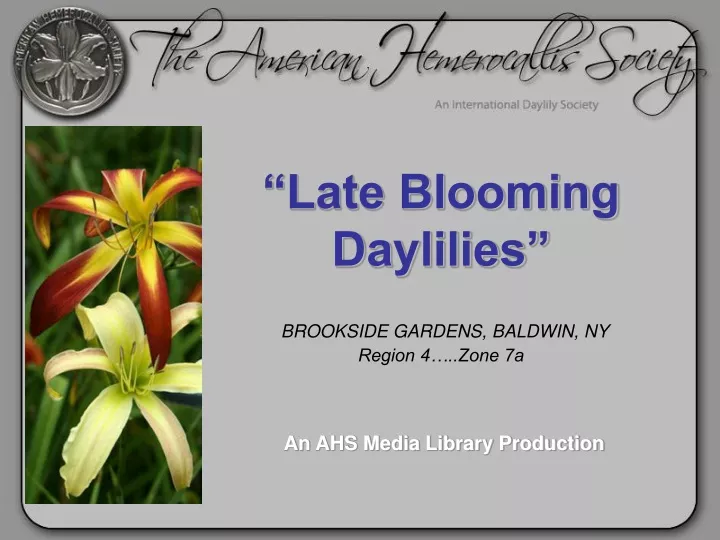 late blooming daylilies brookside gardens baldwin