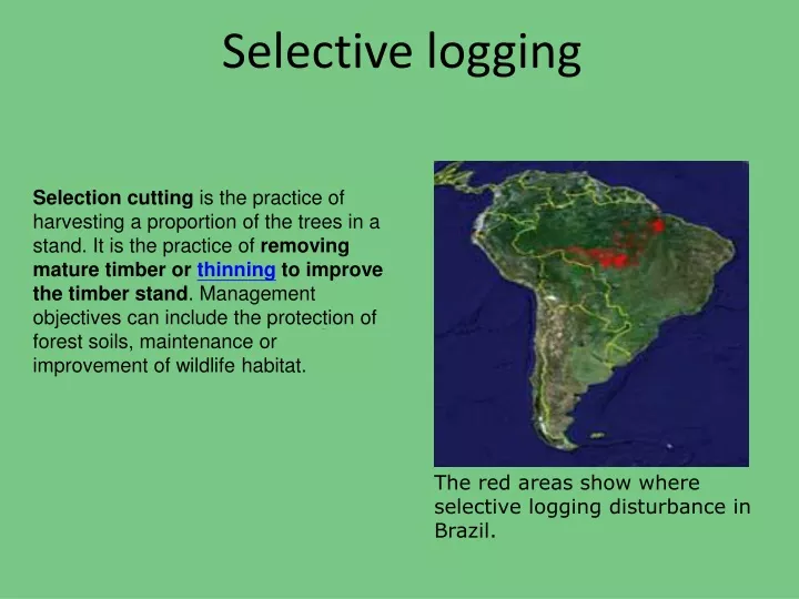 selective logging