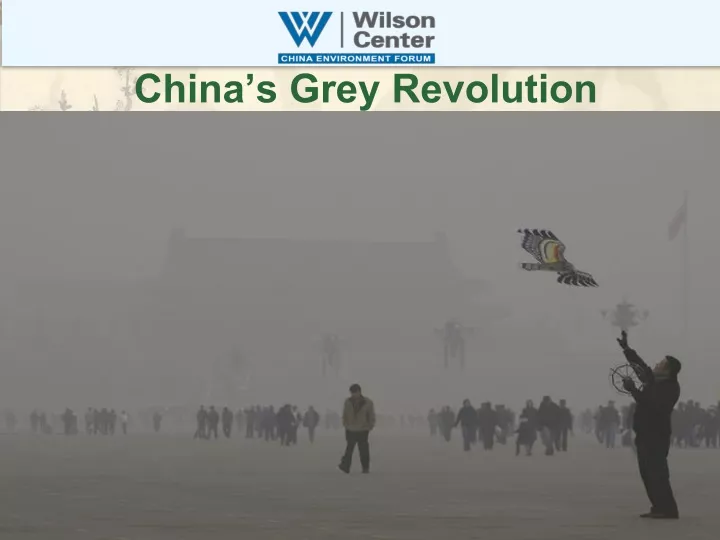 china s grey revolution
