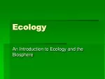 Ecology - slide 1