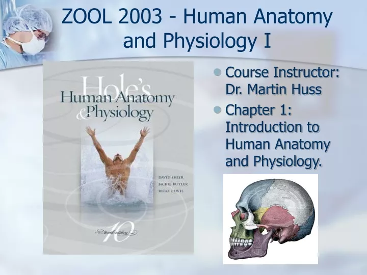 zool 2003 human anatomy and physiology i