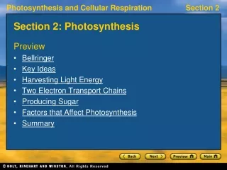 Section 2: Photosynthesis